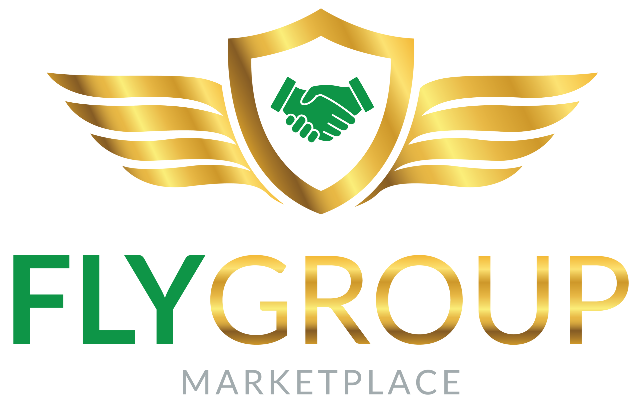 FlyGroup