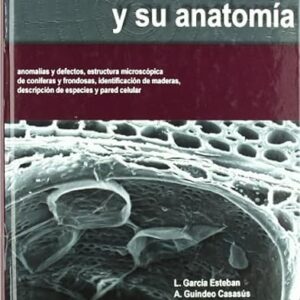 La Madera Y Su Anatomia