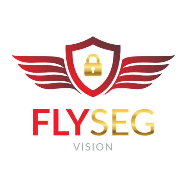 FlySeg Vision