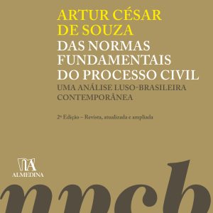 Das normas fundamentais do processo civil